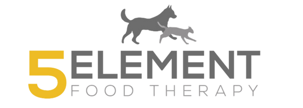 5 Element Food Therapy